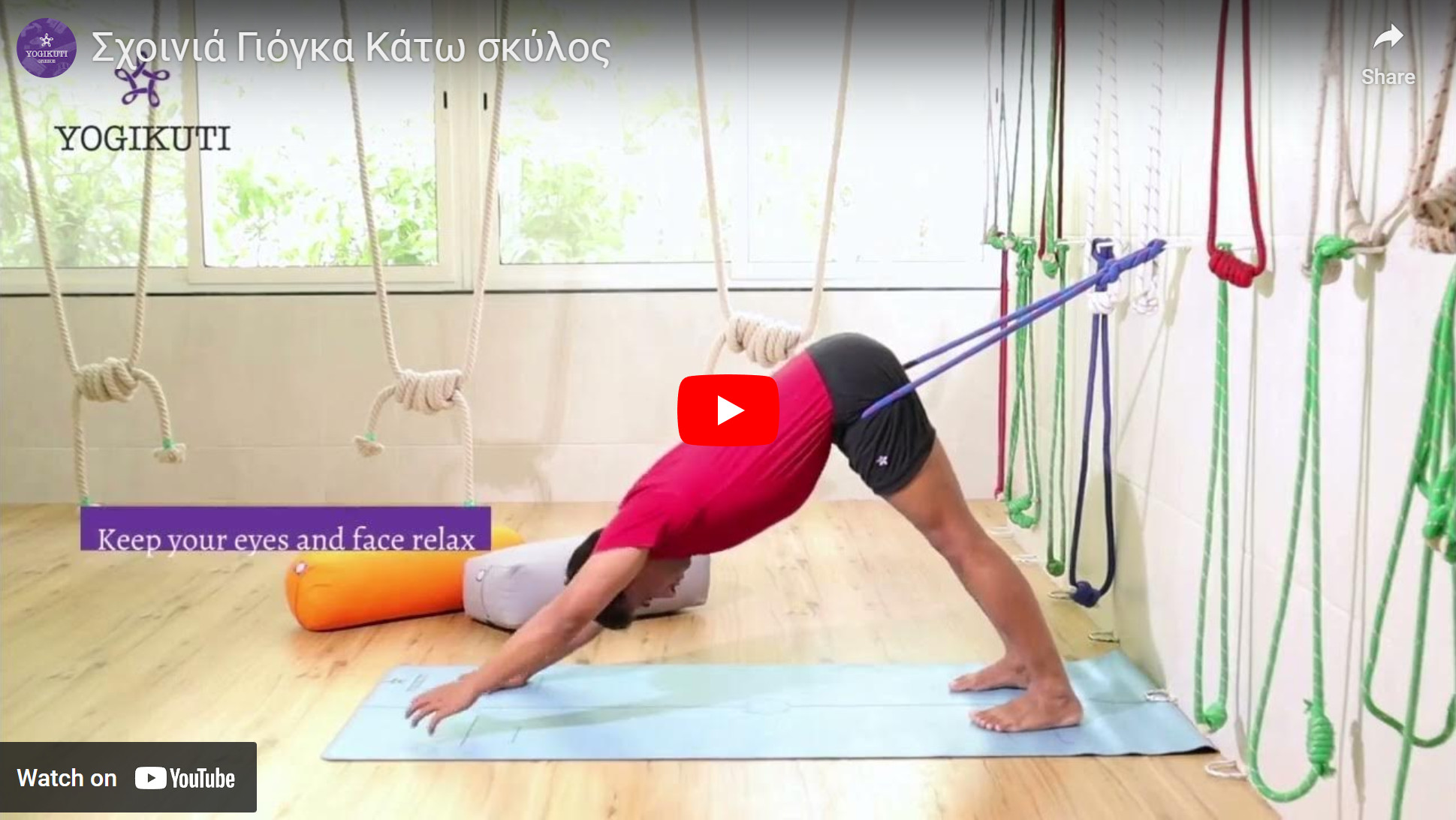 Κάτω σκύλος με σχοινιά γιόγκα, downward facing dog with wall ropes